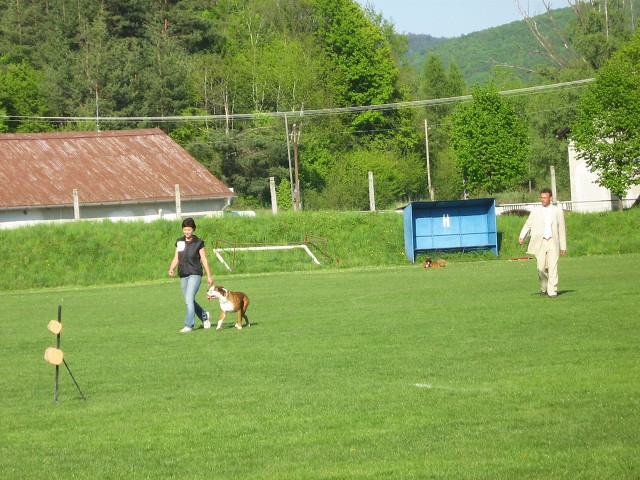 www.atibox.net * www.euroboxer.eu * www.boxergenealogia.eu